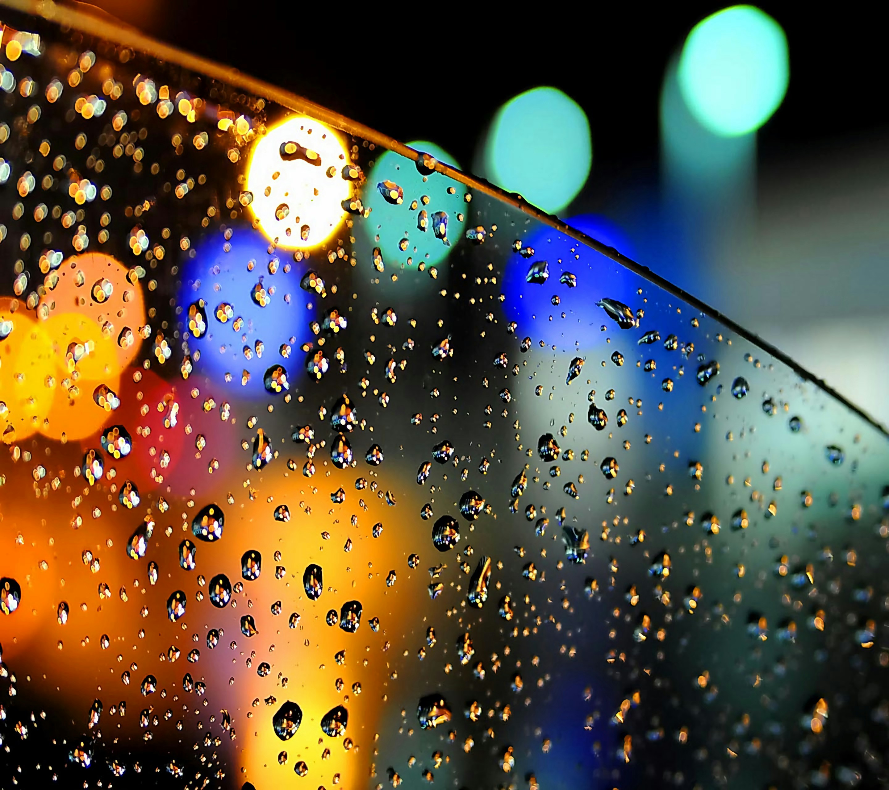 Free Unsplash photo from saad alamri