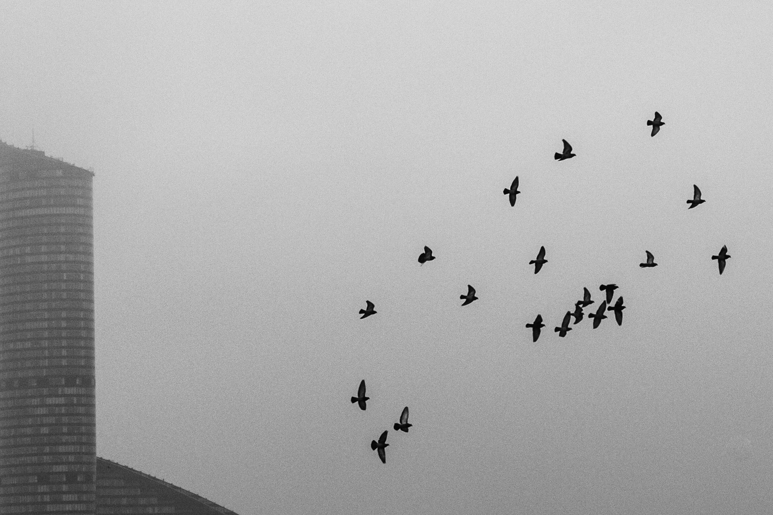 Free Unsplash photo from Beata Ratuszniak