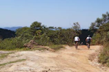 Bicyclists racing along a dirt path surrounded by lush greenery and ranch fences.