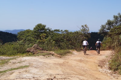 Cyclists riding through lush jungle paths towards a sparkling turquoise cenote.