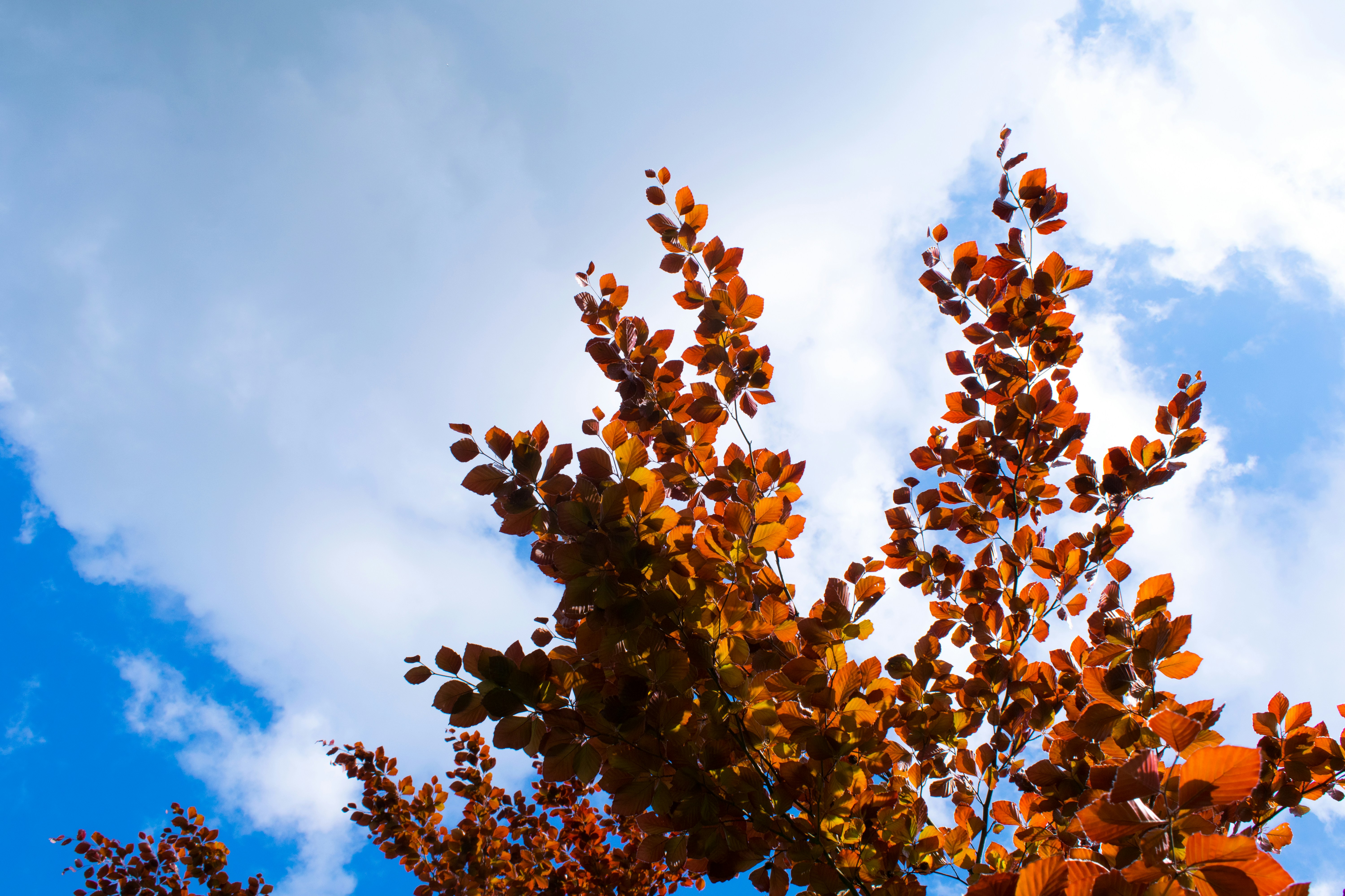 Free Unsplash photo from Yorick van den Berg