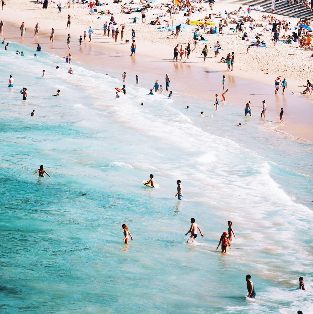 people standing beside body of water during daytime