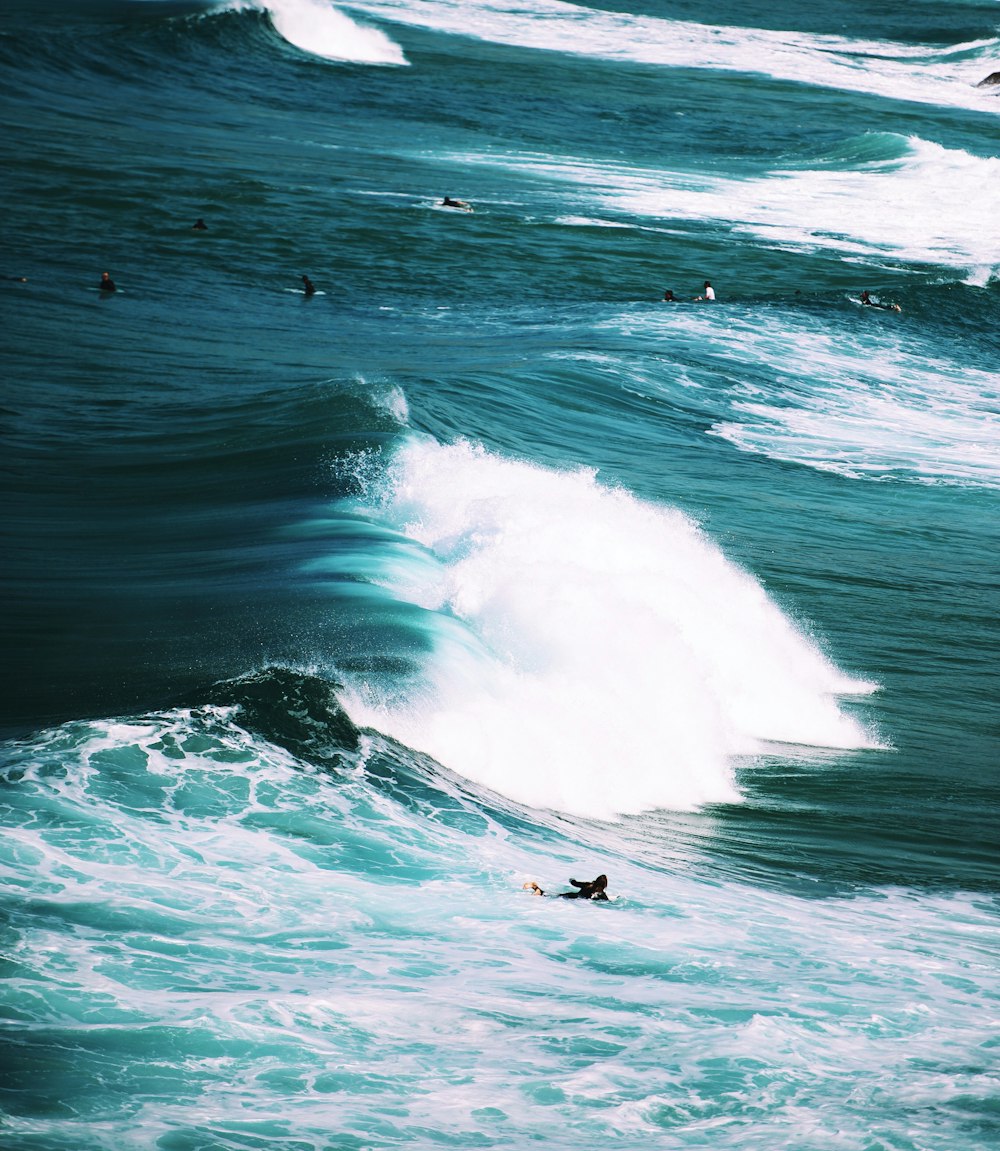 Persona en tabla de surf con olas del mar