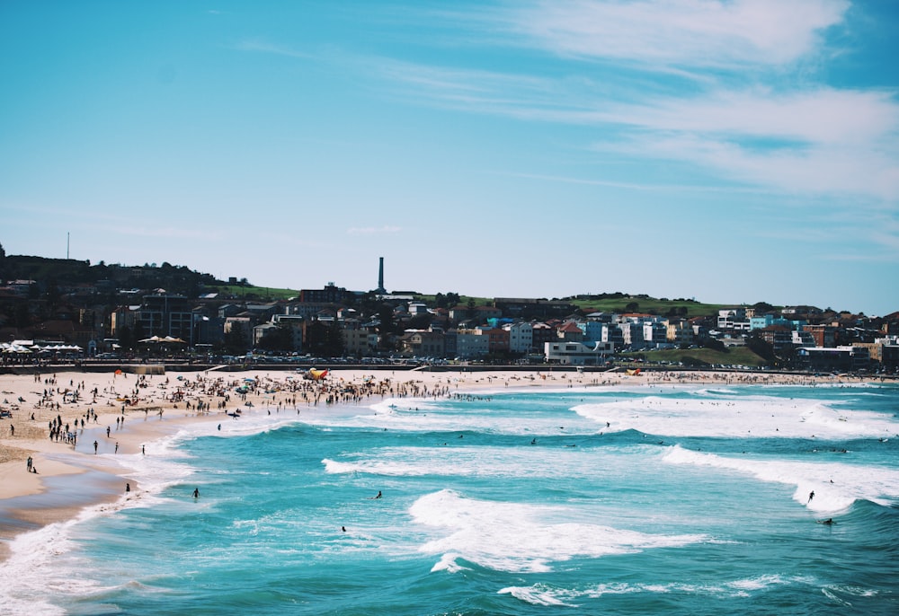 people on seashore during daytime