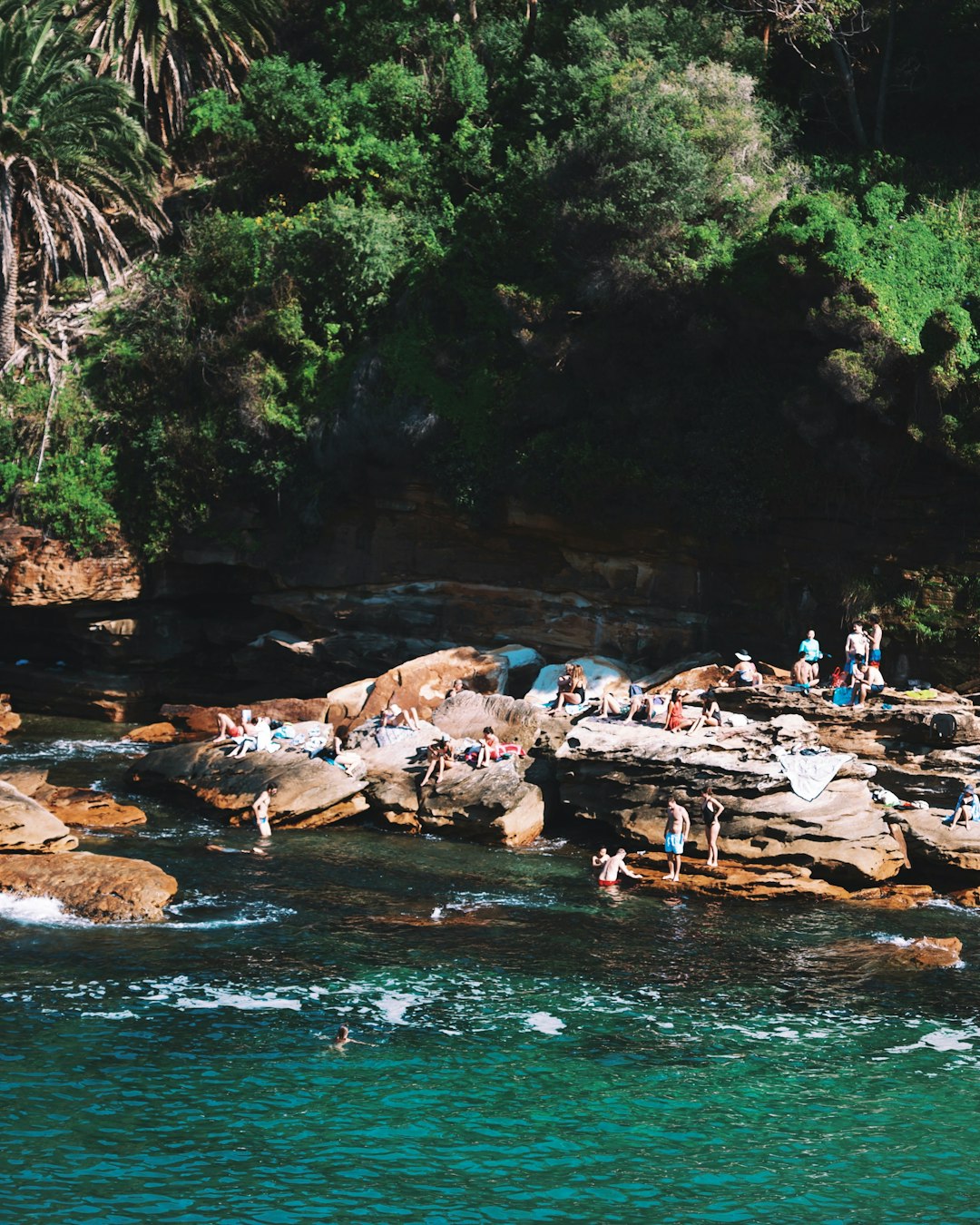 Nature reserve photo spot Sydney Palm Beach