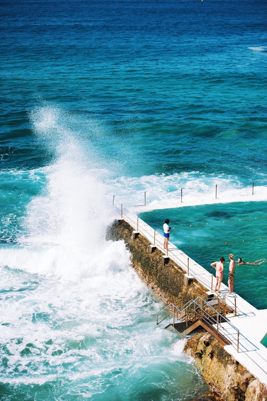 people standing beside pool next to the sea in Bondi Beach Australia