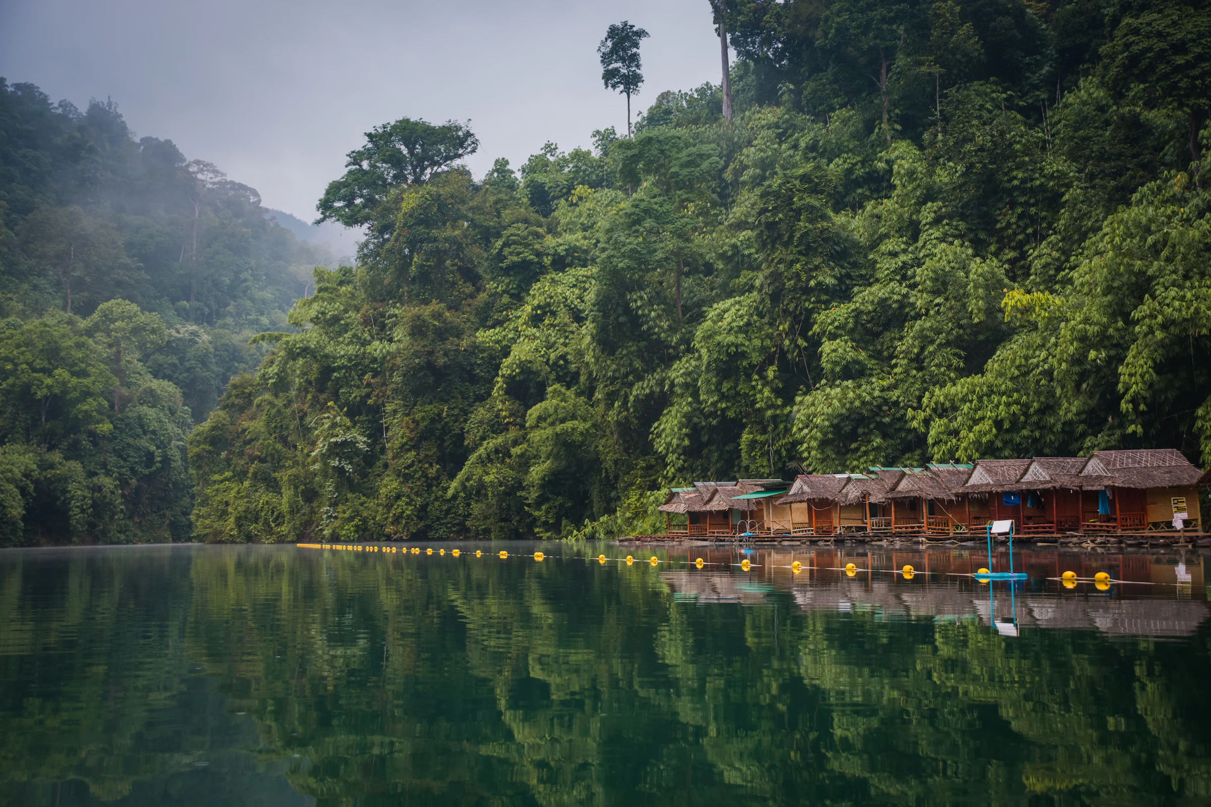 Mist rising over the limestone cliffs and green water of Khao Sok, Thailand