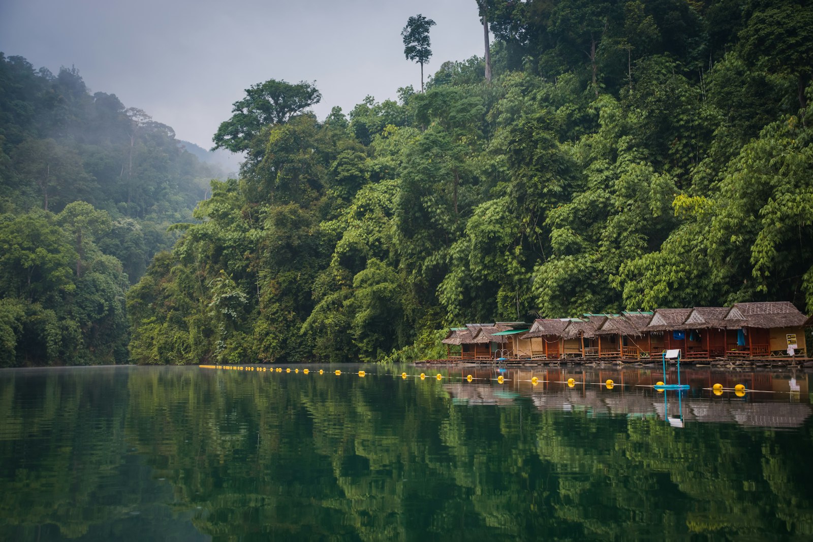 Nikon D7100 + Nikon AF-S DX Nikkor 18-135mm F3.5-5.6G ED-IF sample photo. Green trees near brown photography