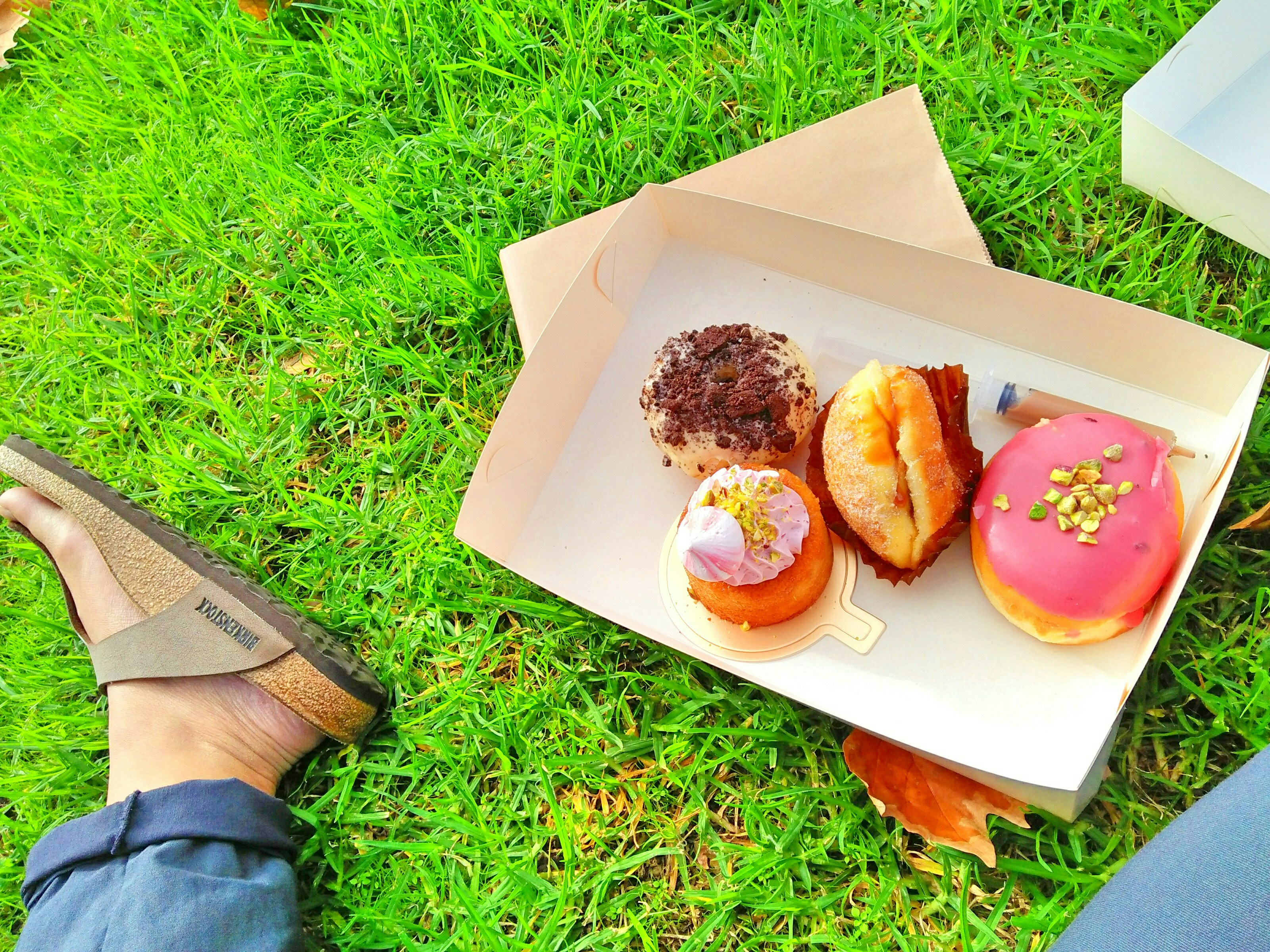 Free Unsplash photo from hung chia-yi