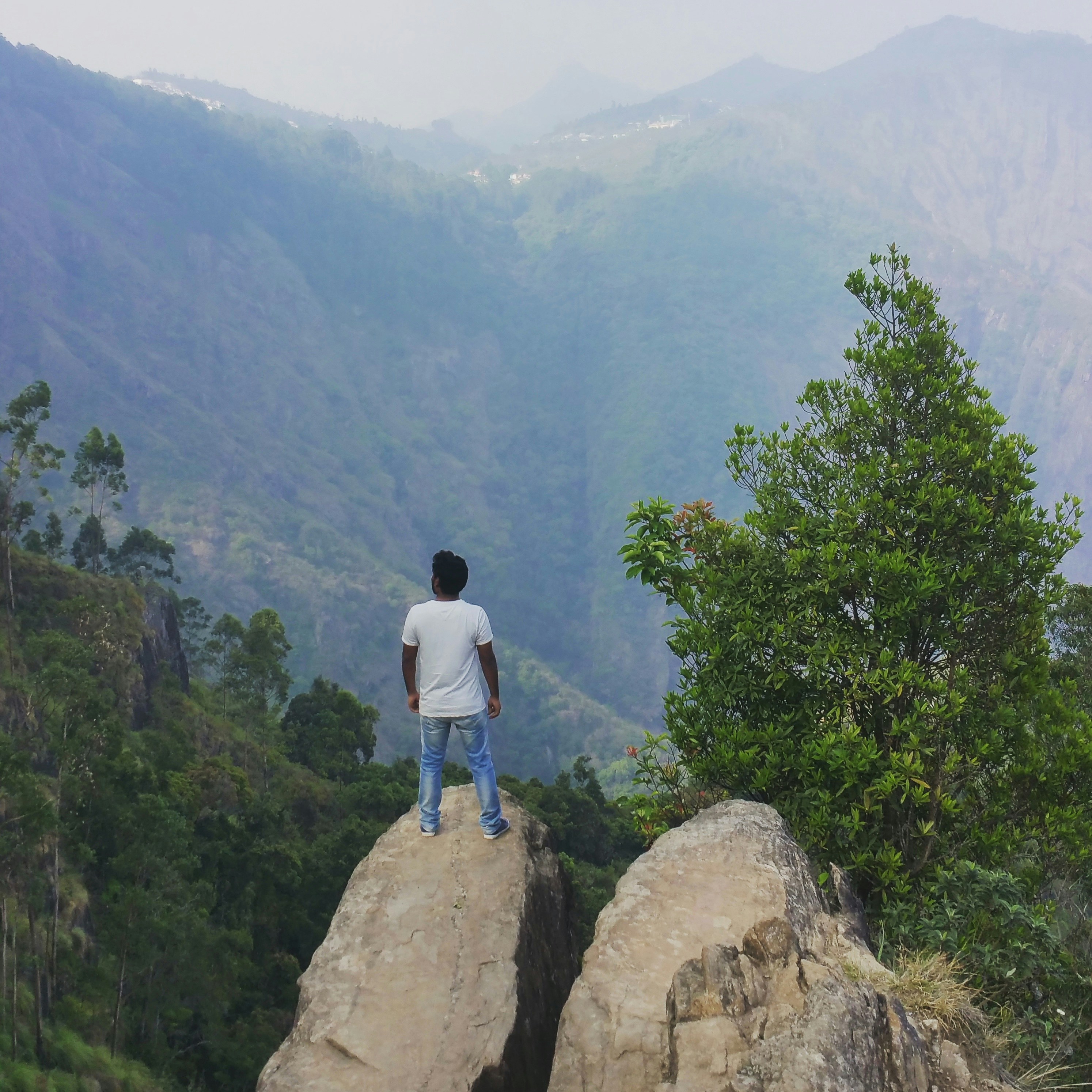 Free Unsplash photo from Navneet Singh Patel