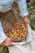 A person is pouring a basket of colorful coffee cherries into a burlap sack. The cherries vary in color, including red, yellow, and green. The person is wearing a patterned long-sleeved shirt.