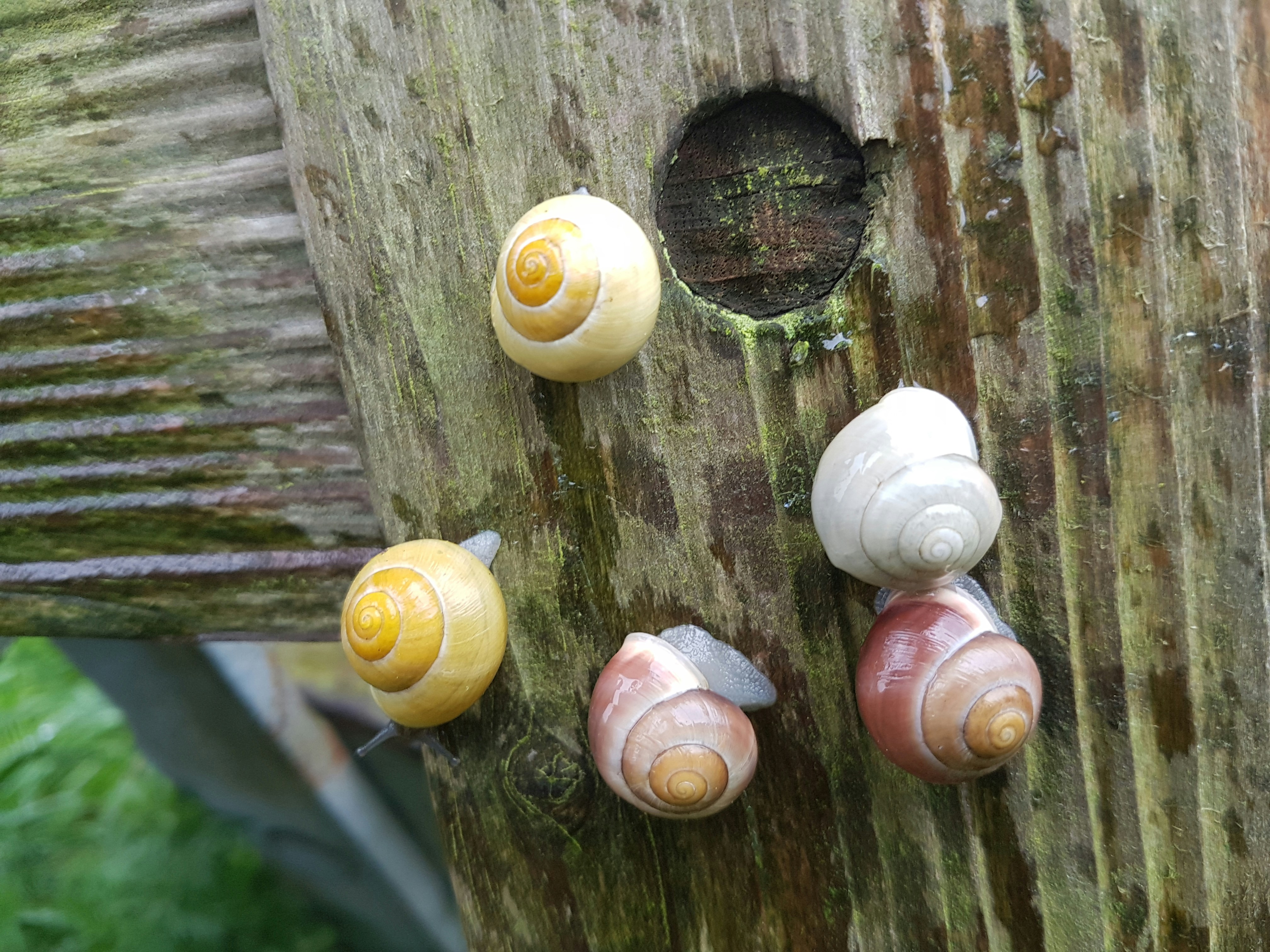 Free Unsplash photo from Asgeir Pall Juliusson