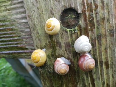 A colorful lineup of 999 unique cartoon snails with playful expressions and accessories.