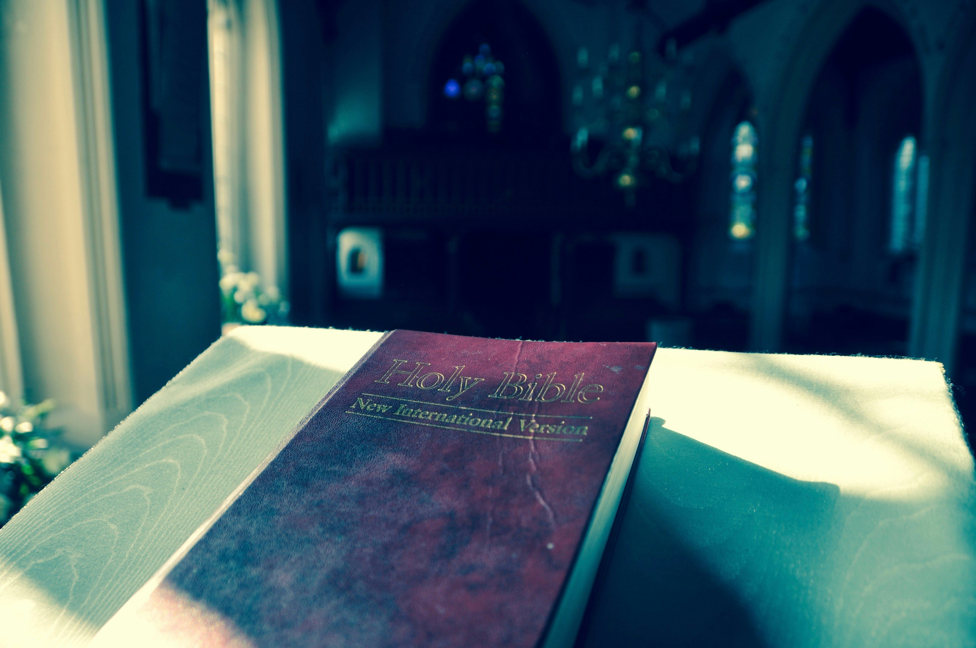 Free Unsplash photo from paul kelson