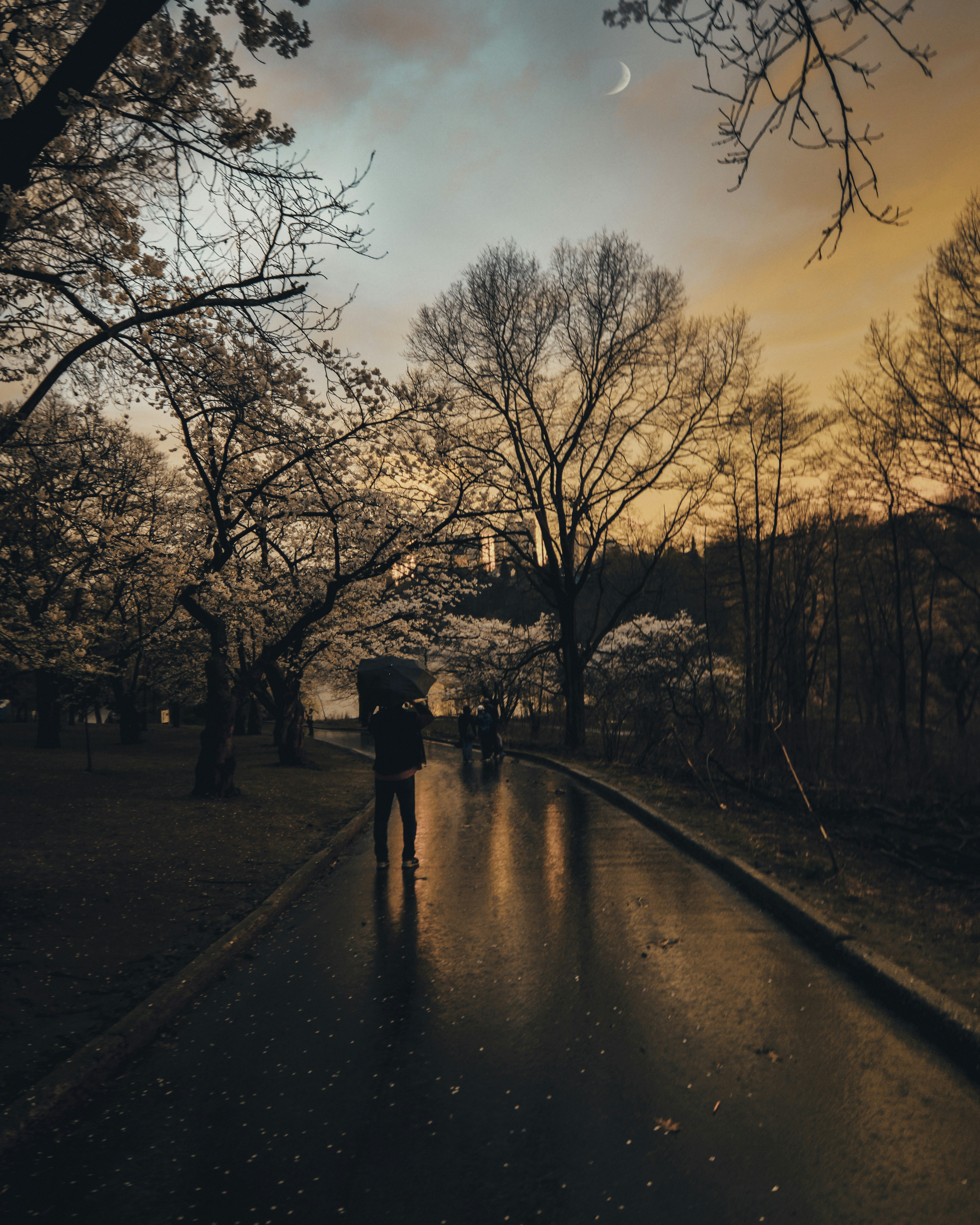 Free Unsplash photo from Yeshi Kangrang