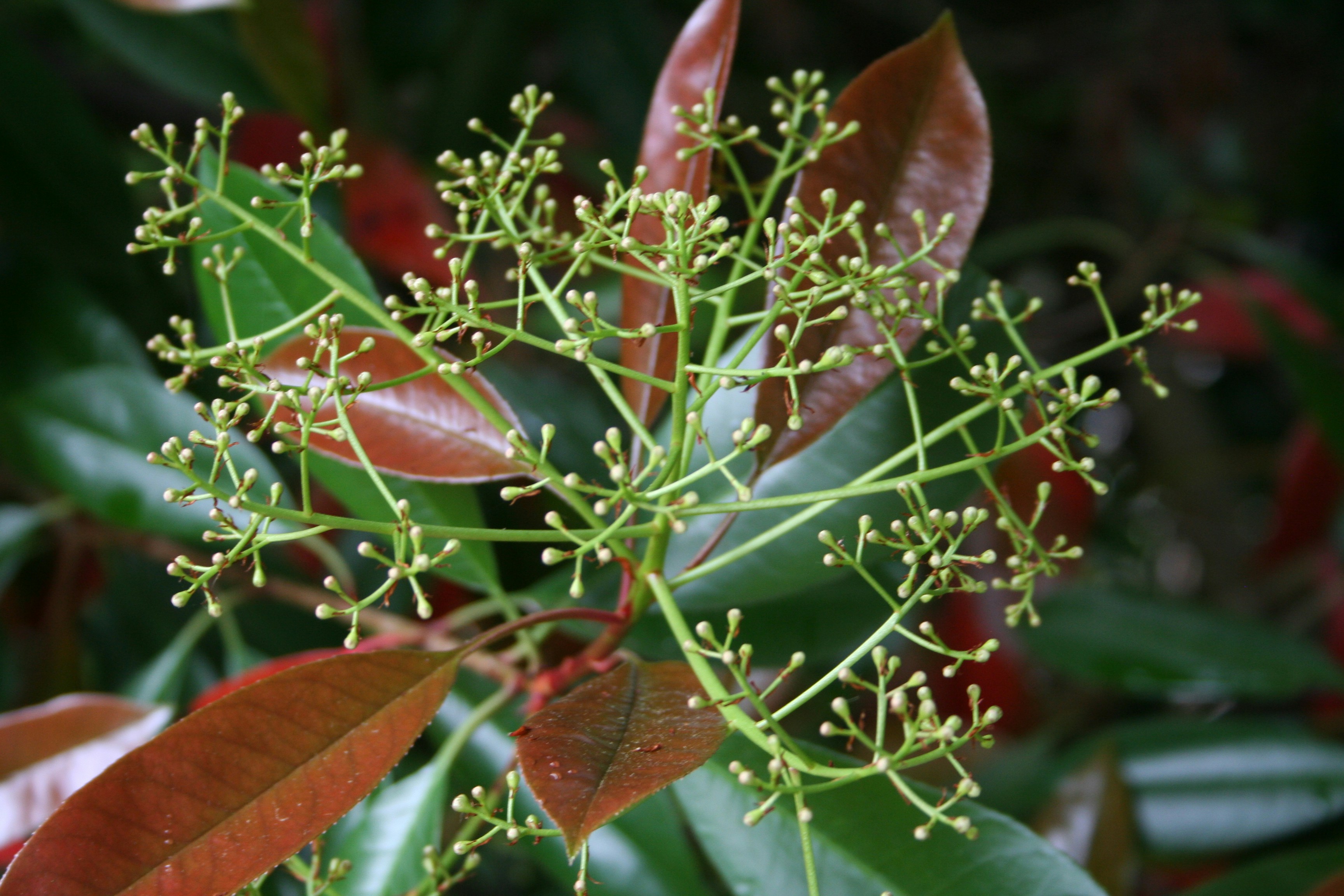 Free Unsplash photo from Ahmet Sariyev