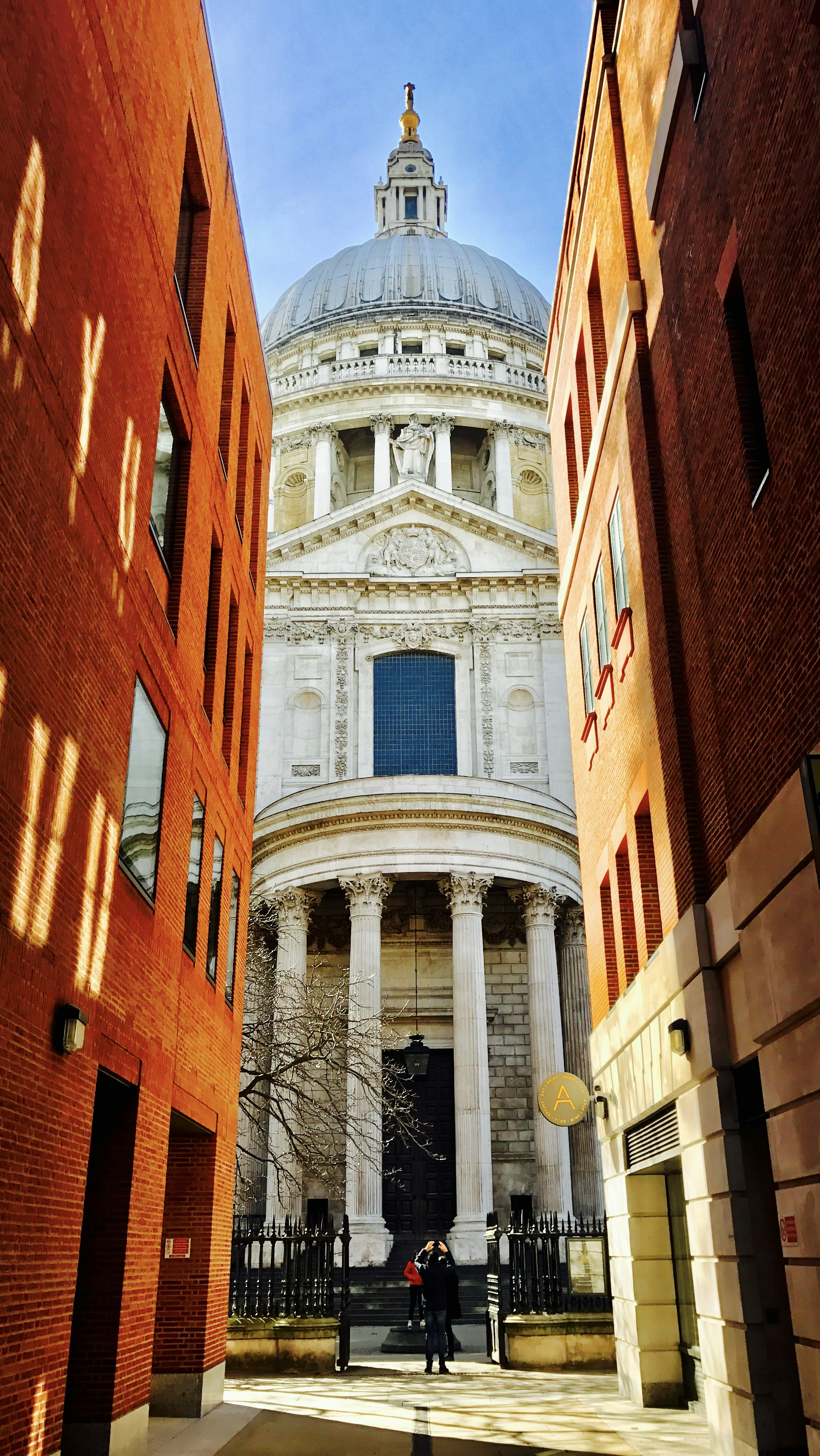 Free Unsplash photo from Max Mao