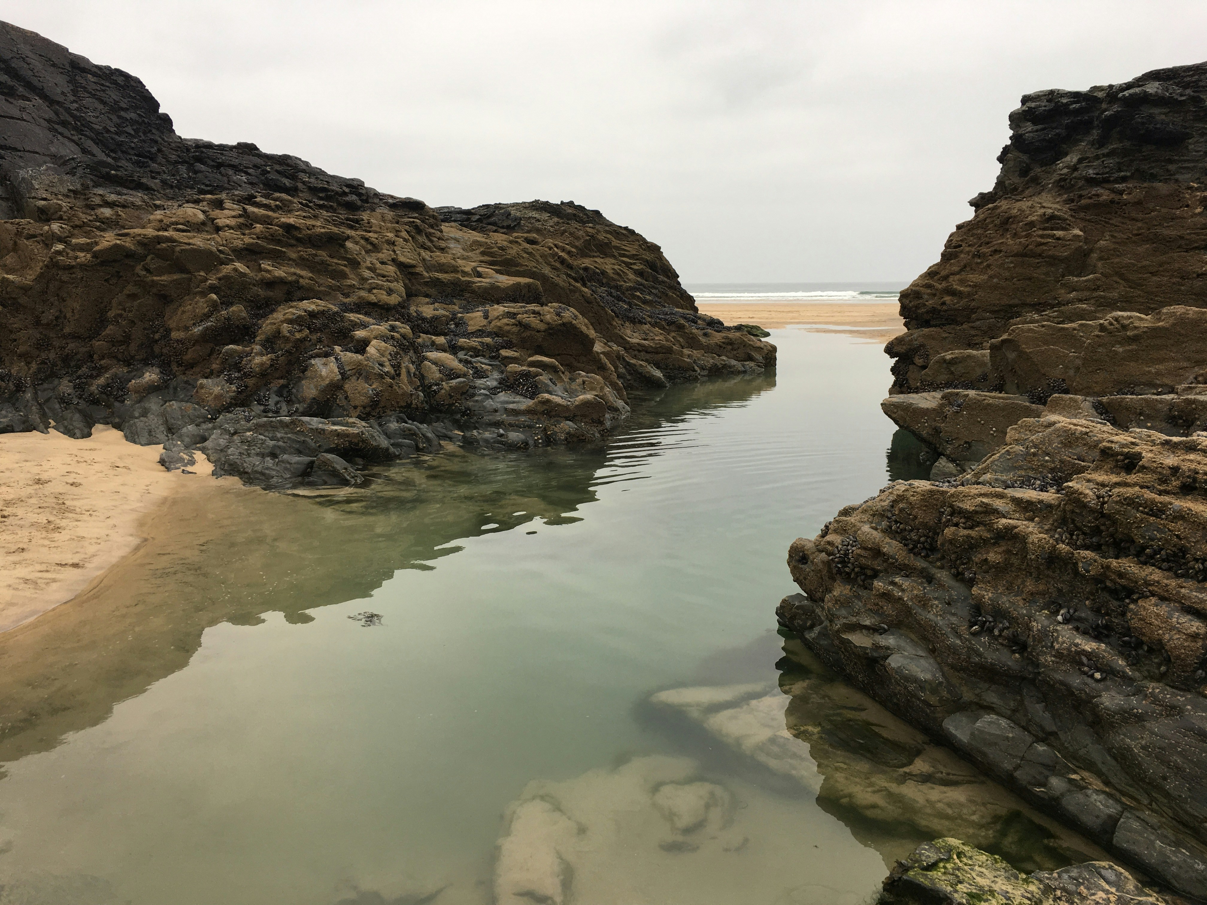 Free Unsplash photo from Rich Lloyd Judd