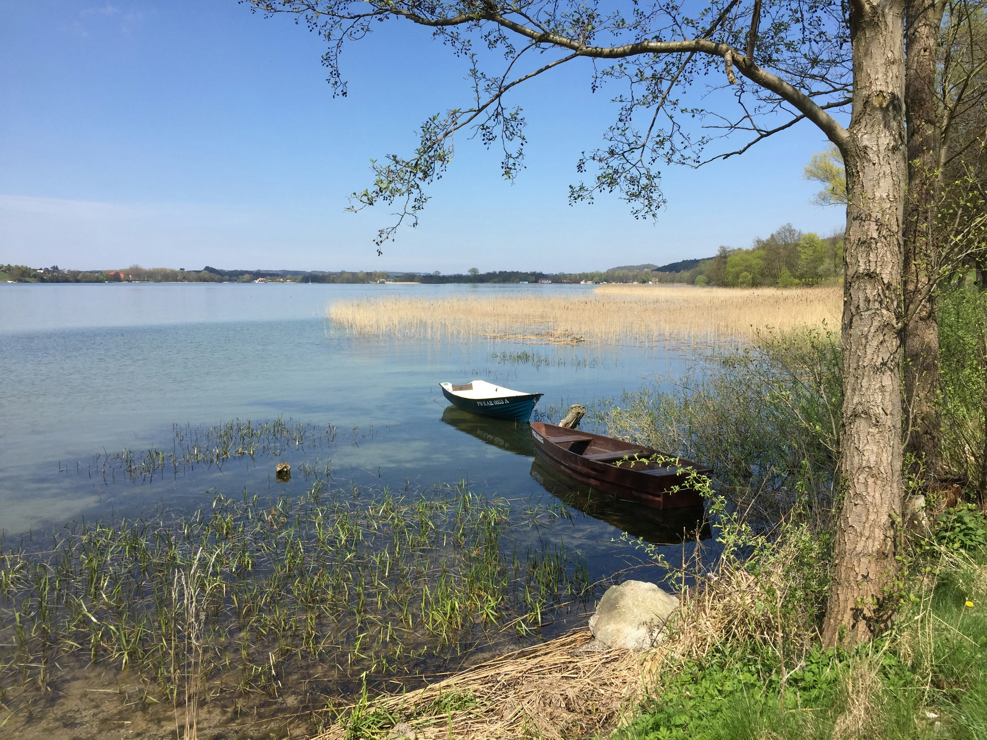 Free Unsplash photo from Aleksandra Maria Budnik