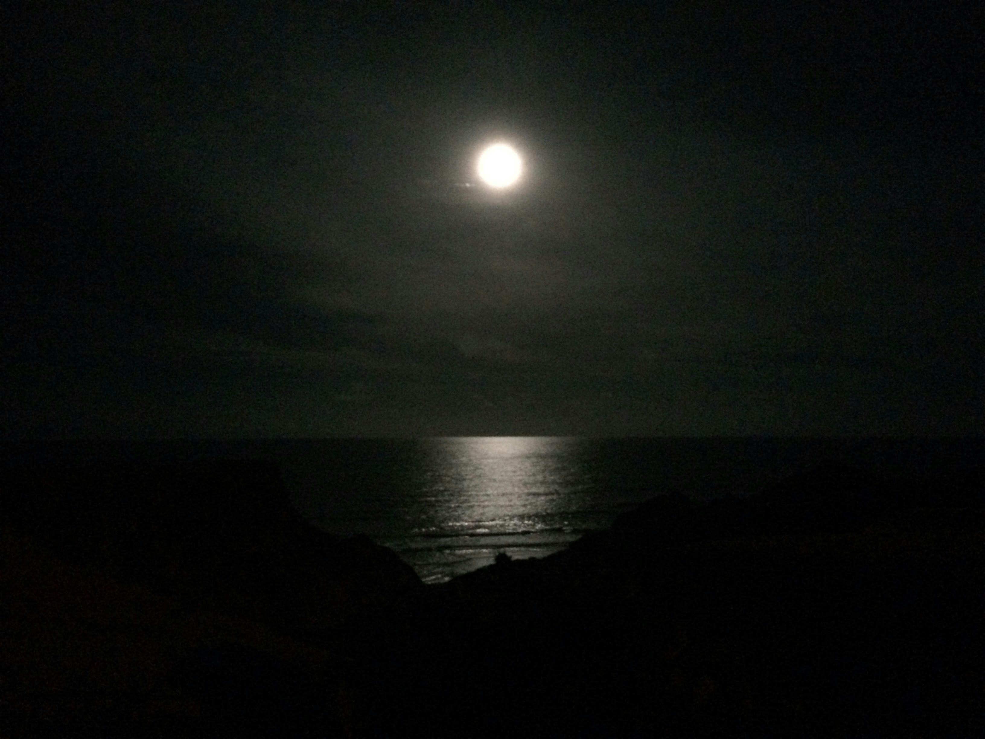 Free Unsplash photo from Eduardo Martins