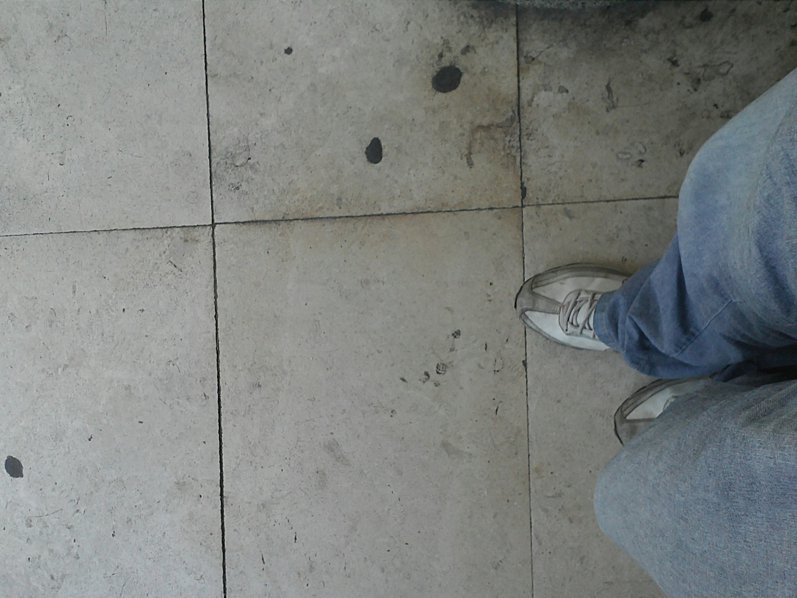 Free Unsplash photo from Dejan Jočić