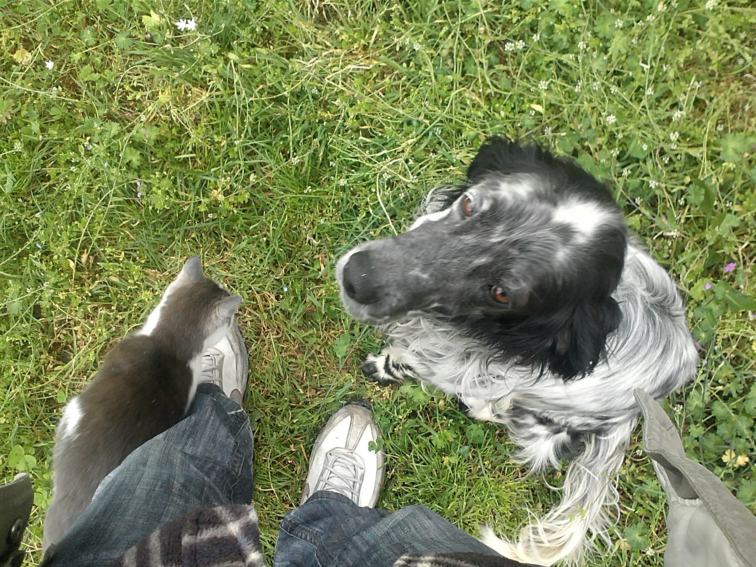 Free Unsplash photo from Dejan Jočić