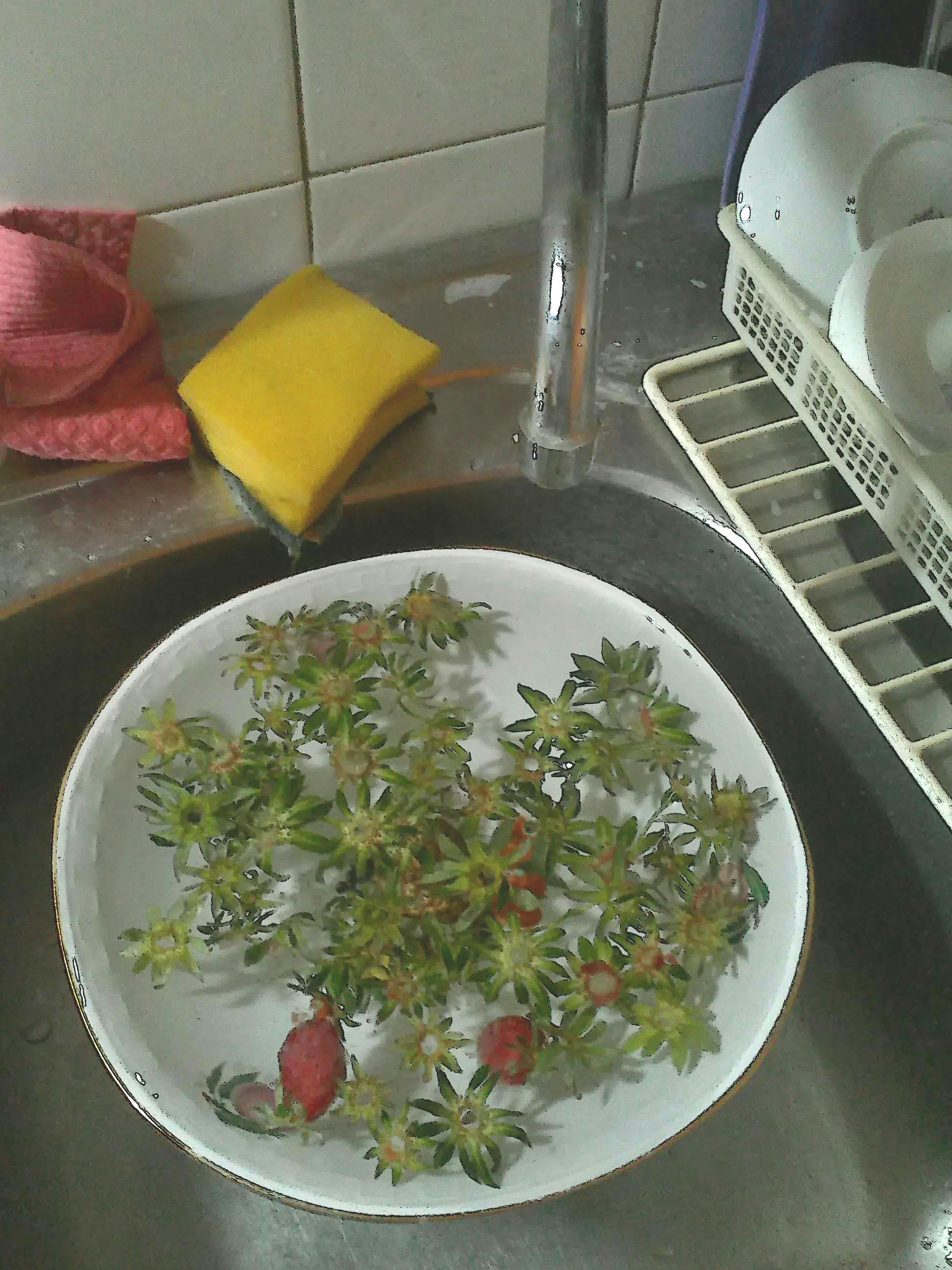 Free Unsplash photo from Dejan Jočić