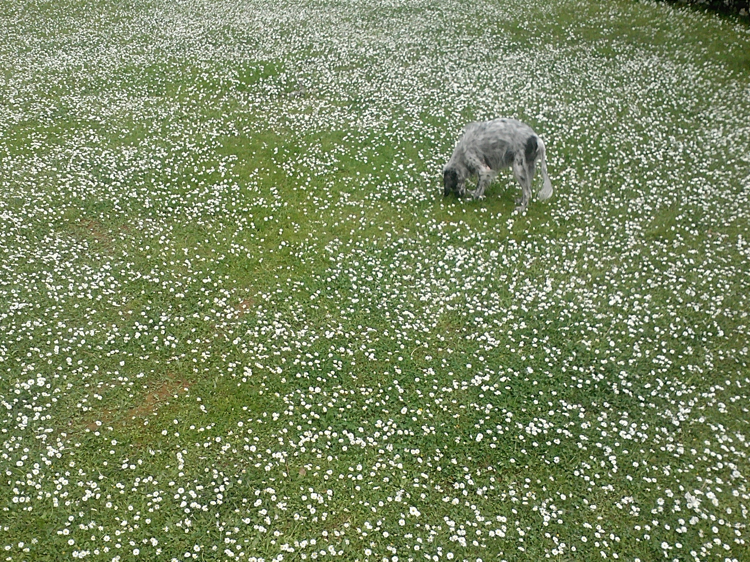 Free Unsplash photo from Dejan Jočić