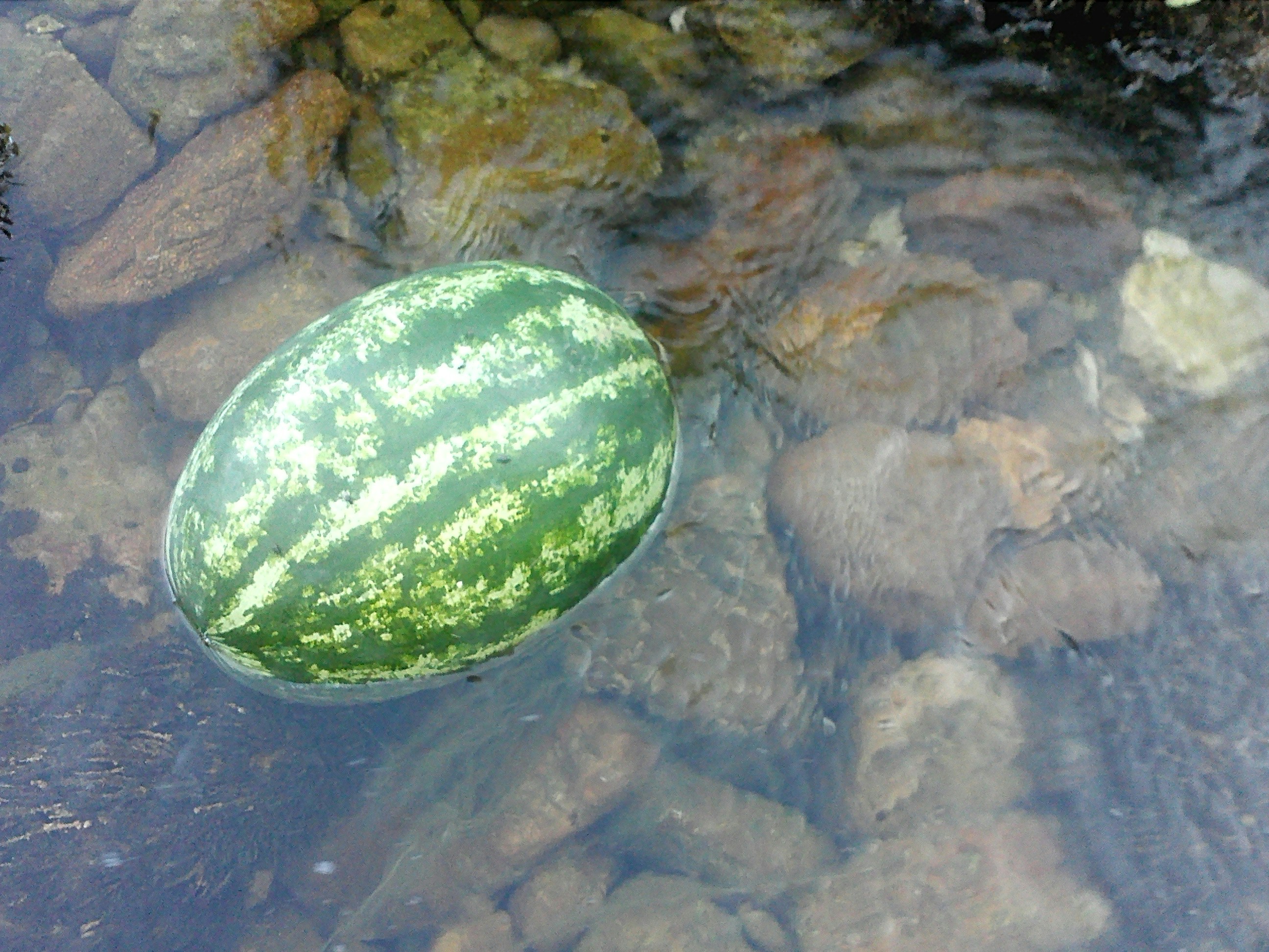 Free Unsplash photo from Dejan Jočić