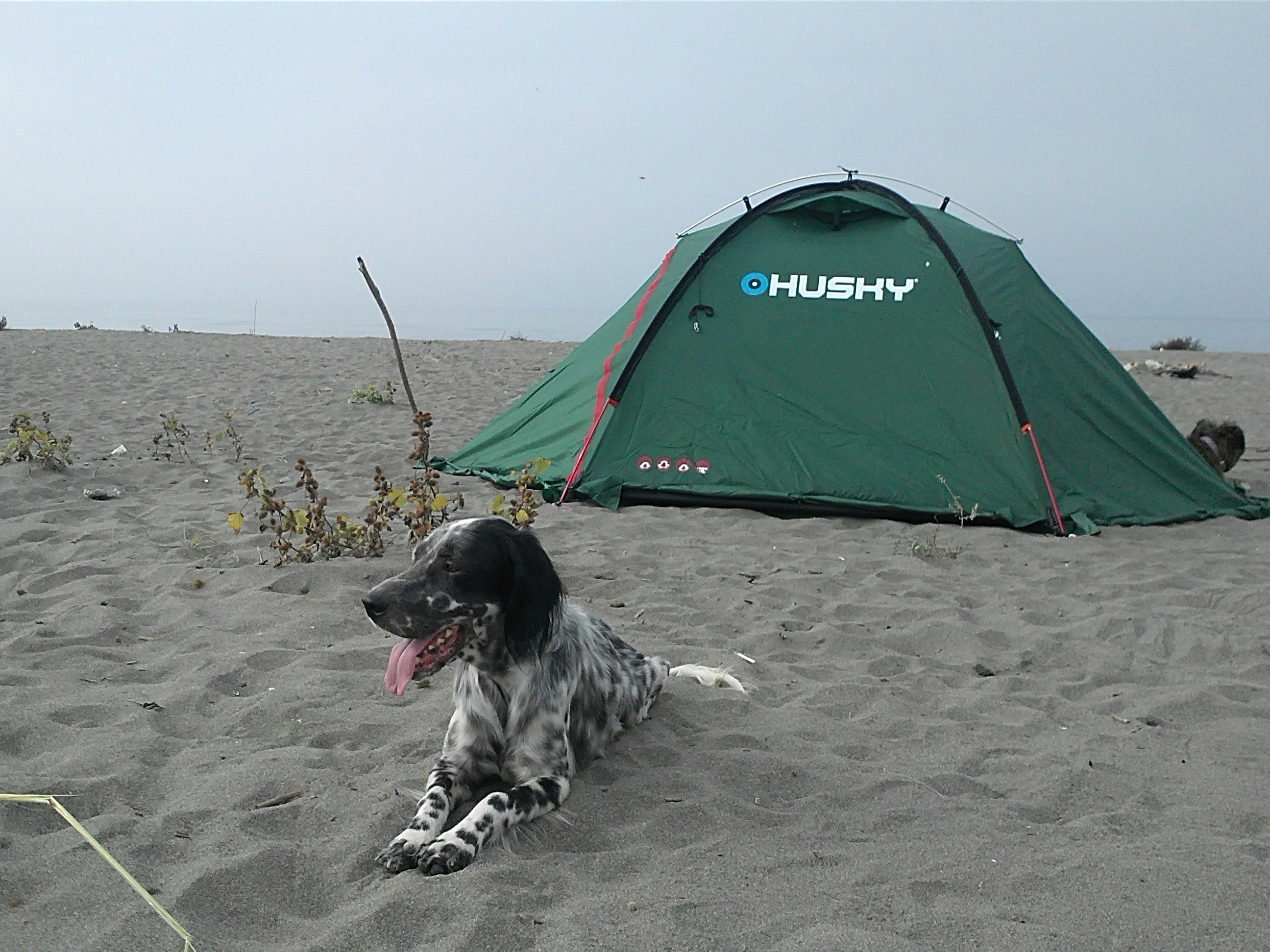 Free Unsplash photo from Dejan Jočić