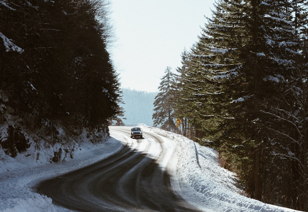 car on snowy road surrounded by tall trees