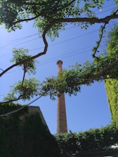 A tall brick chimney rises vertically against a clear blue sky, framed by lush green branches and leaves from two trees. The foreground includes additional foliage and a building partially covered with climbing plants. Overhead wires stretch horizontally across the scene.
