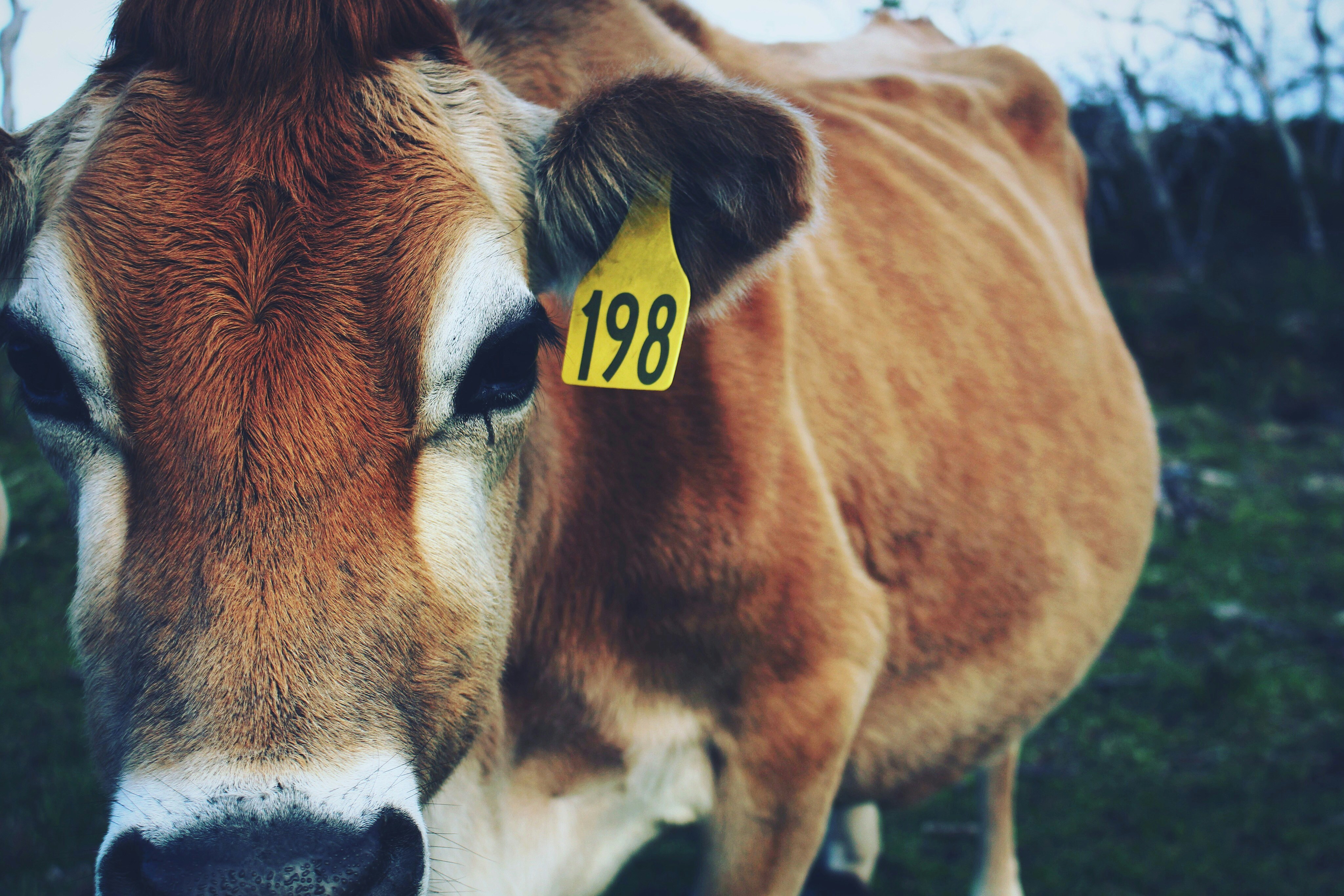 Free Unsplash photo from Nick Hamann