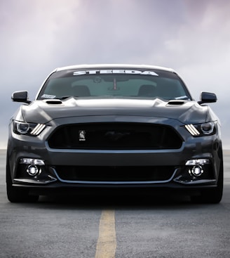 black Shelby car on road