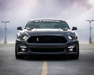 black Shelby car on road