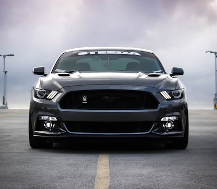 black Shelby car on road