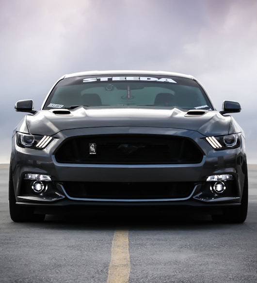 black Shelby car on road