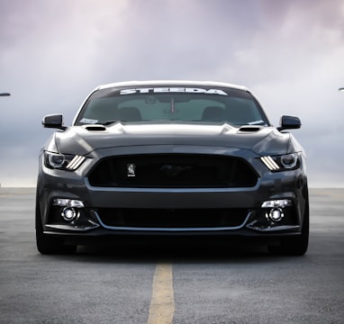 black Shelby car on road