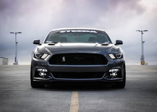 black Shelby car on road