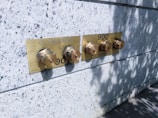Two brass fire department standpipe connections mounted on a speckled granite wall with shadows from tree leaves casting onto the surface.
