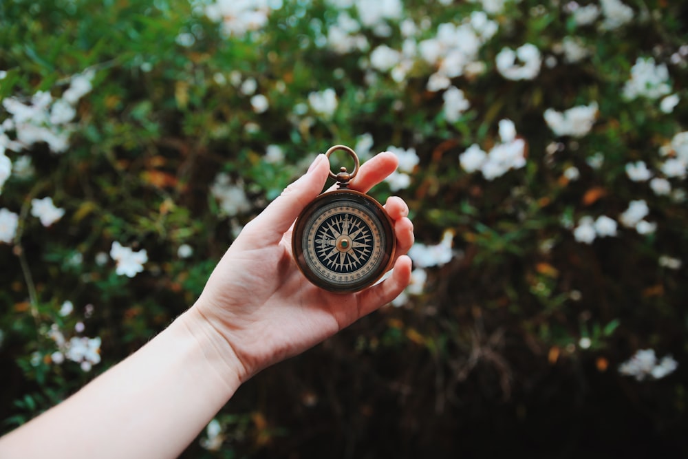 person holding compass