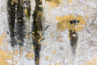 A textured wall surface with peeling yellow paint and dark, vertical streaks of mold or grime. The wall's surface is rough and eroded, revealing patches of underlying material.