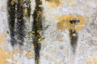 A textured wall surface with peeling yellow paint and dark, vertical streaks of mold or grime. The wall's surface is rough and eroded, revealing patches of underlying material.