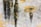 A textured wall surface with peeling yellow paint and dark, vertical streaks of mold or grime. The wall's surface is rough and eroded, revealing patches of underlying material.