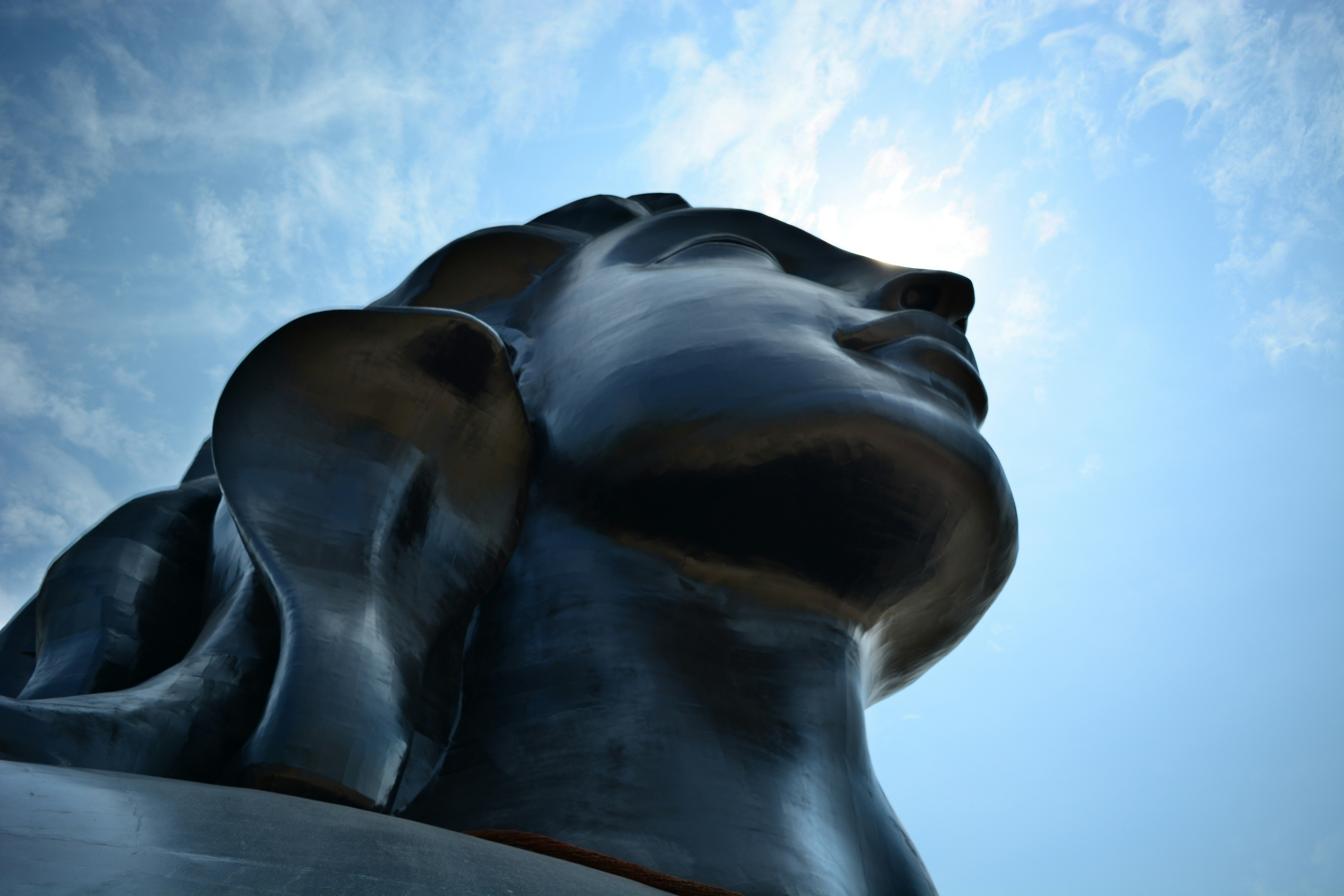 Free Unsplash photo from Anurag  Varma