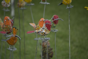 Custom-designed bird accessories blending functionality with graceful design