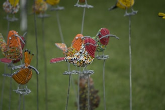 Custom-designed bird accessories blending functionality with graceful design