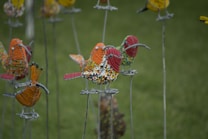 Colorful beaded bird sculptures are arranged on metal stands against a backdrop of green grass. The intricately designed birds feature red, orange, yellow, and black beads forming detailed patterns, with long beaks and outstretched wings.