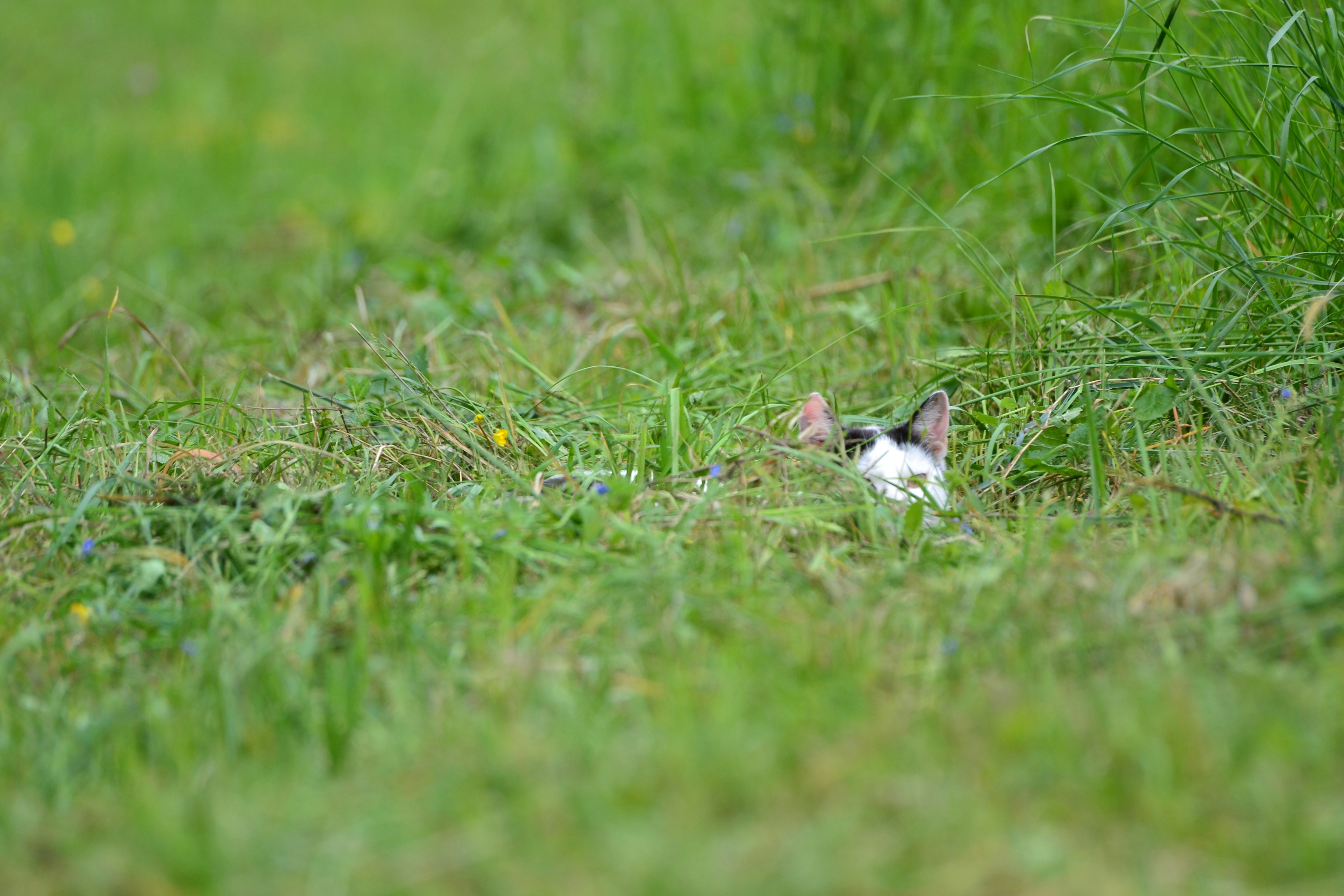 Free Unsplash photo from Szűcs László