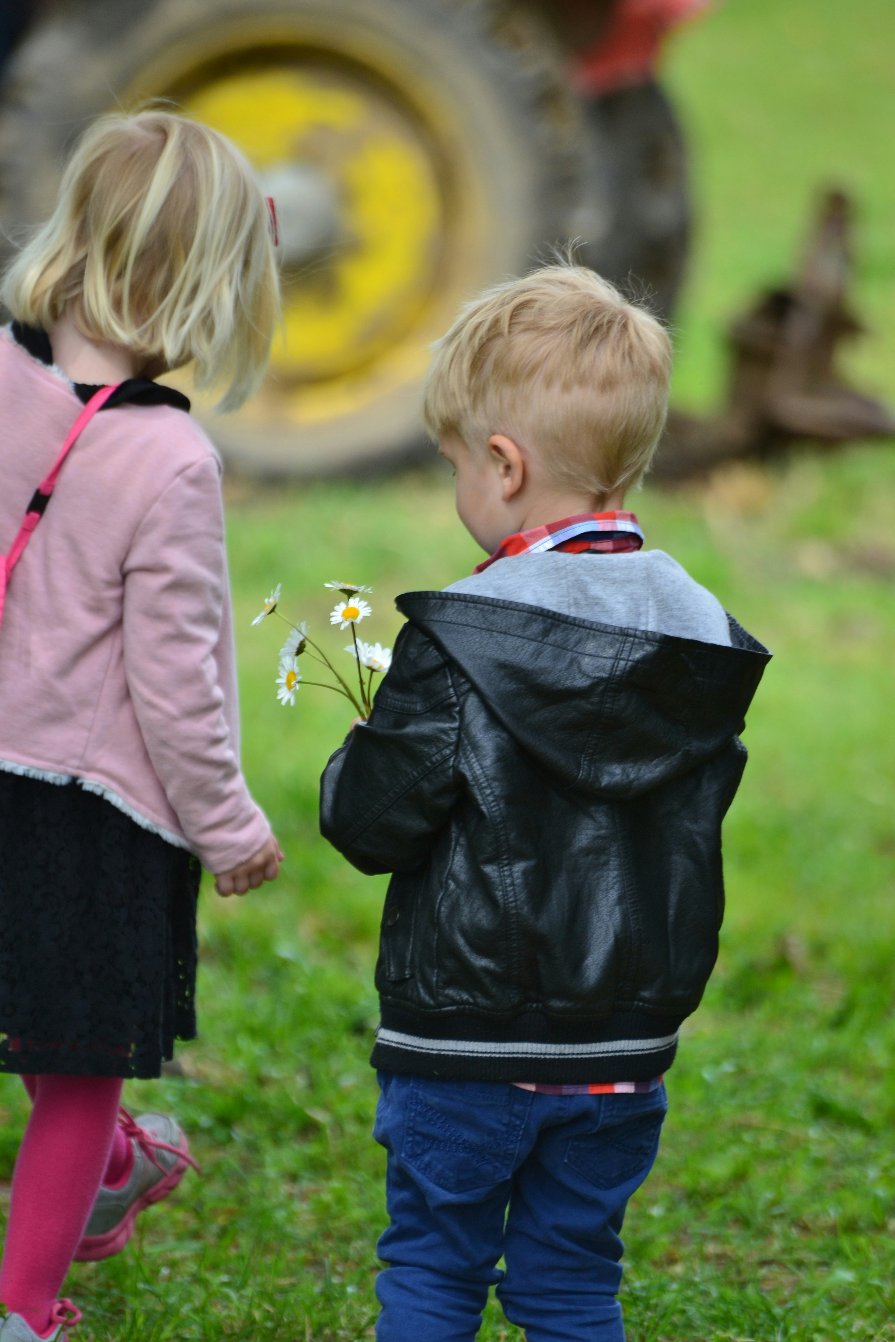 Free Unsplash photo from Szűcs László